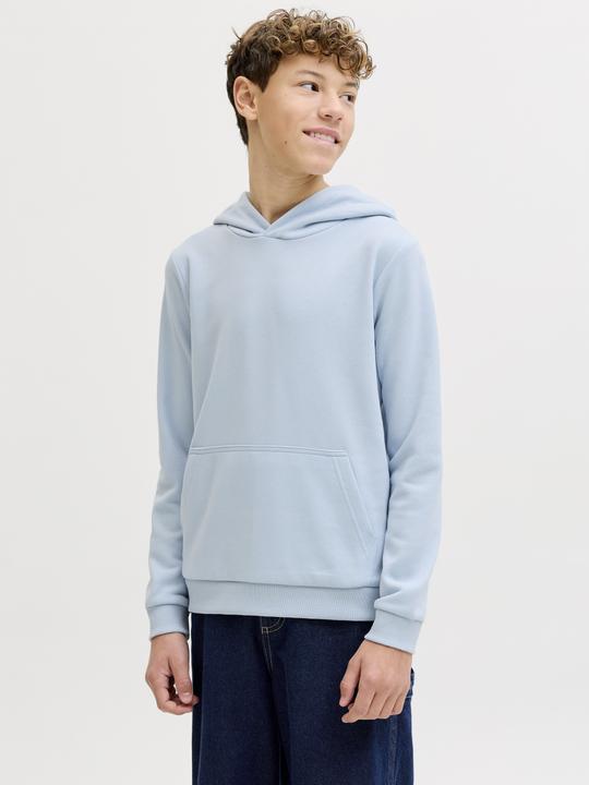 Produktbild Jack & Jones Jjebradley Sweat Hood Noos Jnr (152)