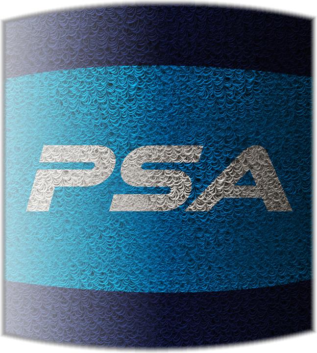 Actual product image Salming PSA WRISTBAND SHORT 2.0 (One size)