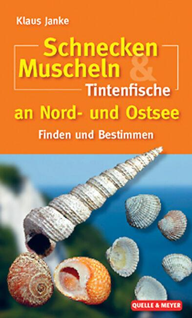 Produktbild Schnecken, Muscheln & Tintenfische an Nord- und Ostsee (Deutsch, Gerald Millat, Klaus Janke, Thomas Borchardt, 2010)