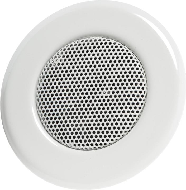 Visaton Haut-parleur de plafond DL 5, 8 Ohm (1 pièce)