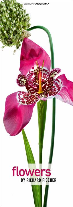 Flowers (Deutsch, Englisch)