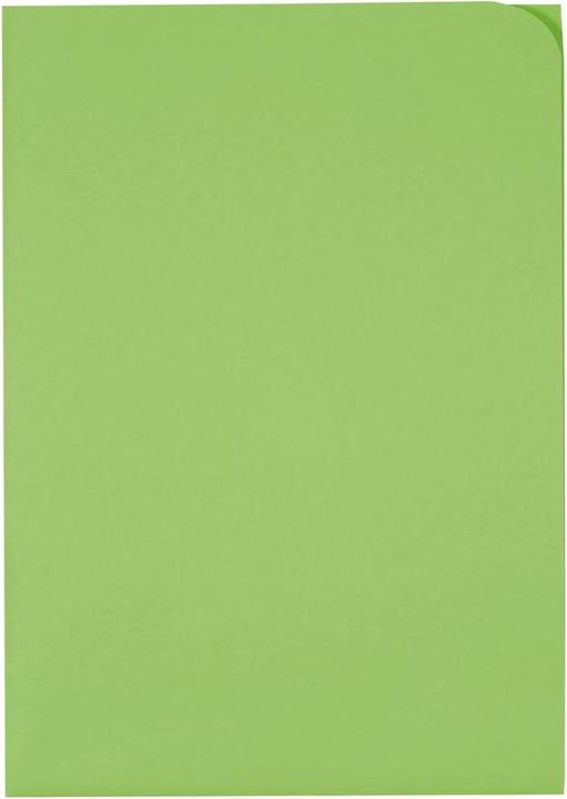 Produktbild Elco Sichthülle Ordo discreta (A4, 100x)