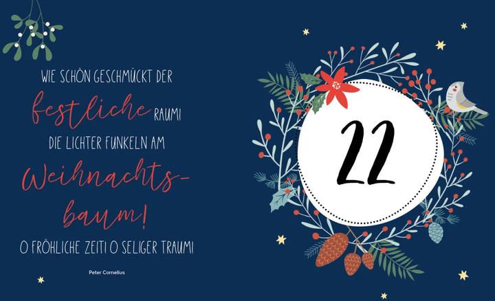 Productafbeelding Mijn Adventskalender Boek Tuindecoratie Liefde