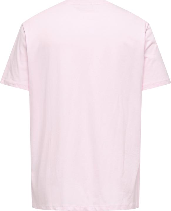 Actual product image Only CARTRUDY T-shirt T-shirt (M)