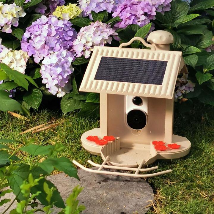 Actual product image Rocketbook HiBirds - Smart Bird Feeder with 1080HD camera, Wifi and AI recognition - (HB-5543)
