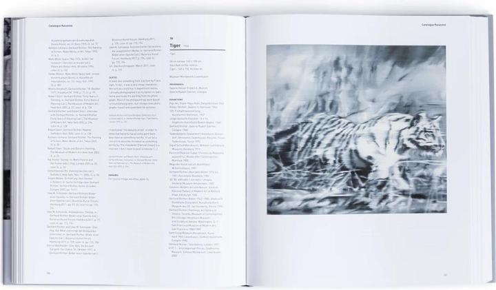 Produktbild Gerhard RichterCatalogue Raisonné 1 (Deutsch, Englisch, Dietmar Elger, Gabriele Sabolewski, 2011)