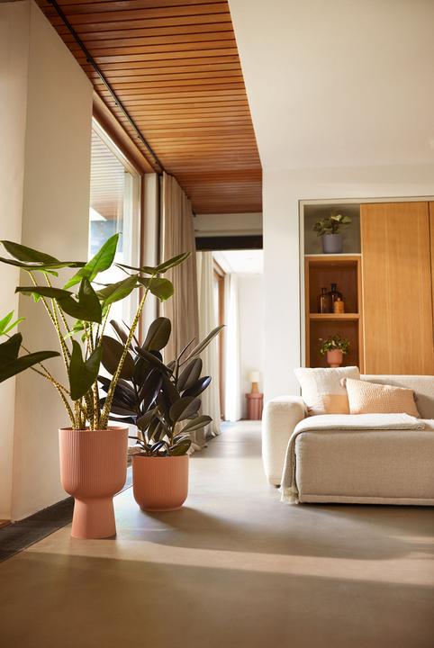 Actual product image Elho Vibes Fold Coupe (29.50 x 29.50 x 44.70 cm)