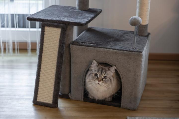 wilderness nassfutter Tundra Nassfutter Wild  Getreidefreies Hundefutter