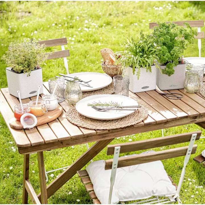 Actual product image Lechuza Cube Color (17 cm)