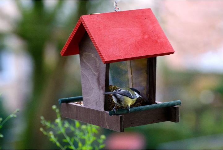 Produktbild Dobar Vogelhaus