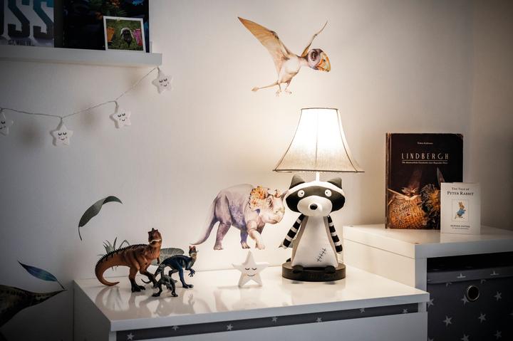 Actual product image Happy Lamps Ben the raccoon