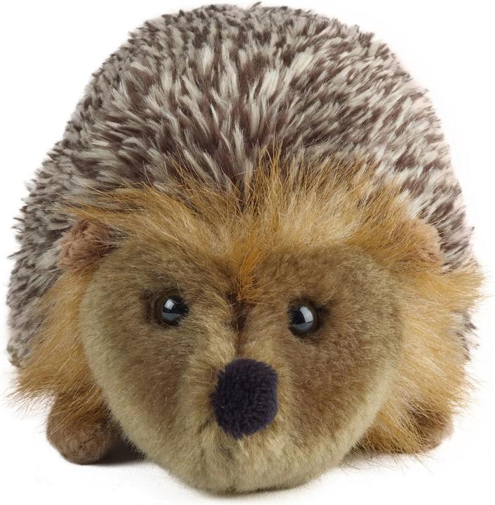 Image du produit Living Nature Jeune hérisson (18 cm)