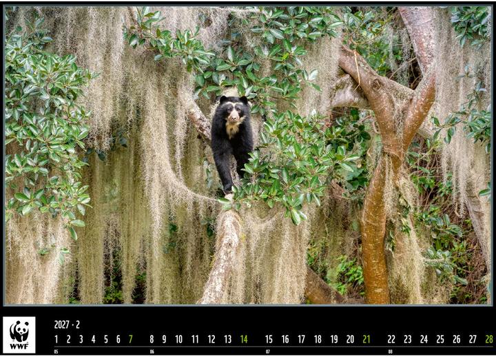 Produktbild WWF Kalender 2025