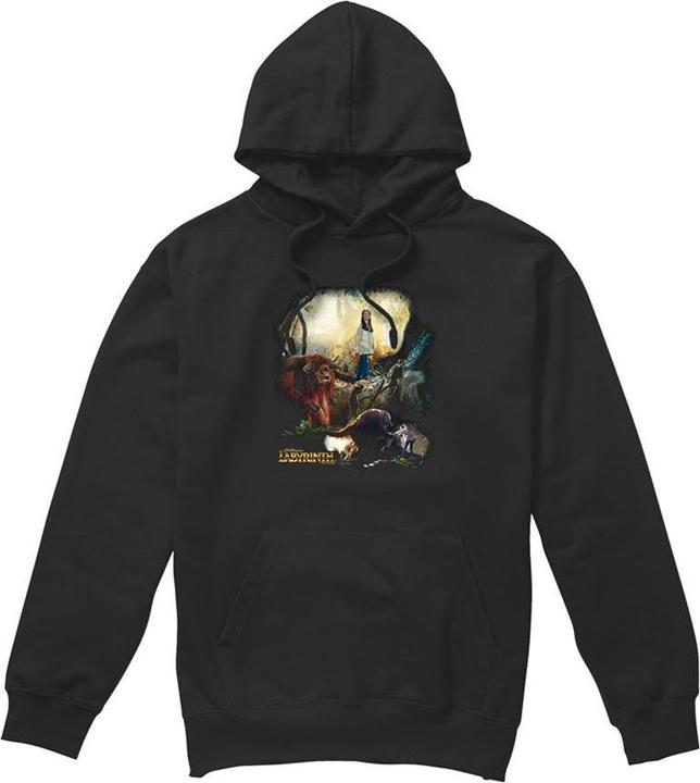 Image du produit Kapuzenpullover (XL)