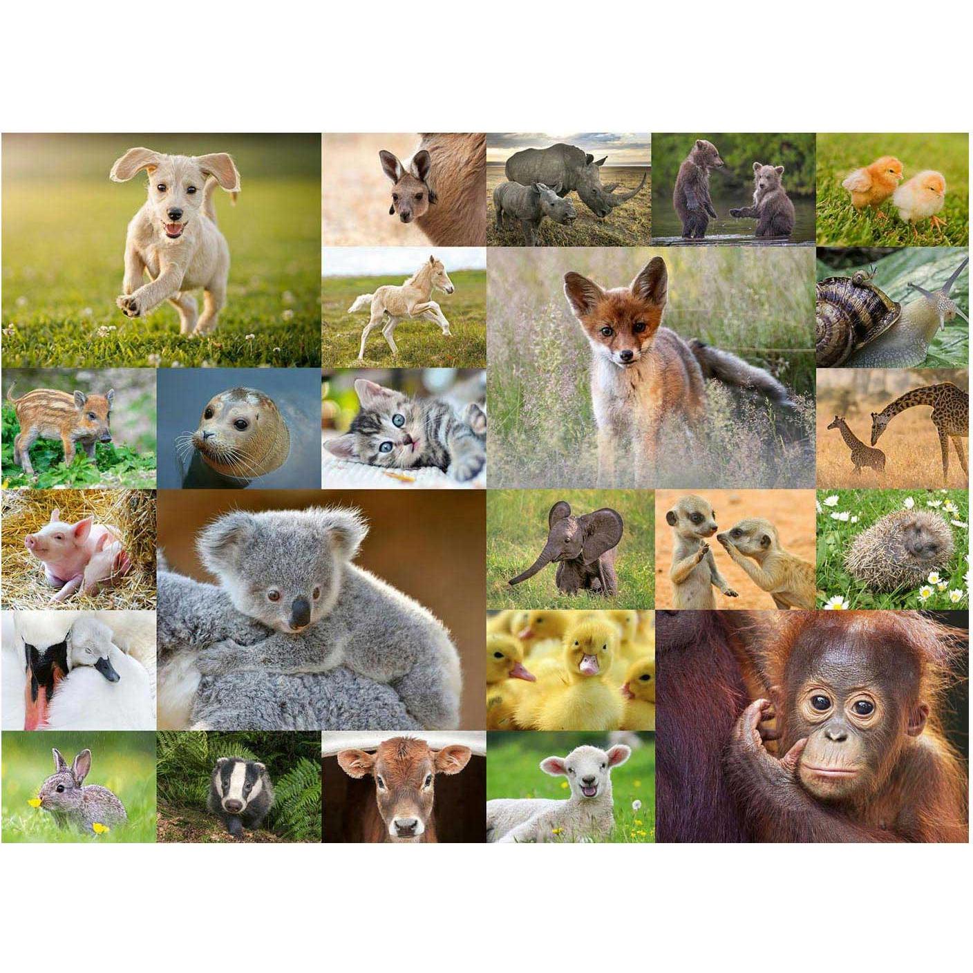 Thumbnail - Ravensburger Süsse Tierbabys (200 Teile)