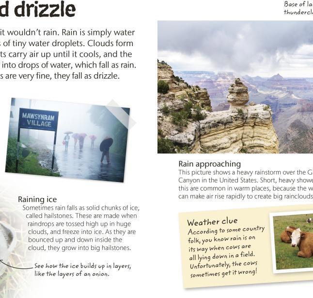 Produktbild Weather (Englisch, 2017)