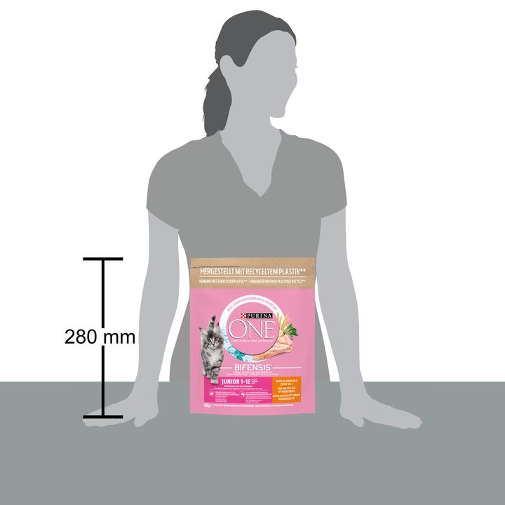 Actual product image Purina ONE Dried fodder (Junior, 1 pcs., 800 g)
