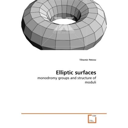 Elliptic surfaces, Fachbücher