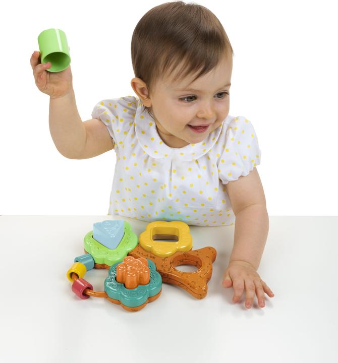 Immagine prodotto Chicco Sorter di forma Baobab - Eco+