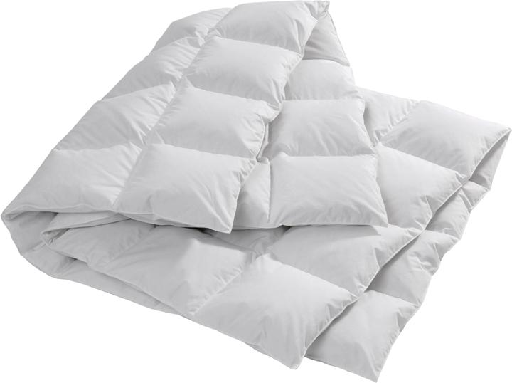 Actual product image Billerbeck Edition Pino Kassette Daune (750 g, 160 x 210 cm)