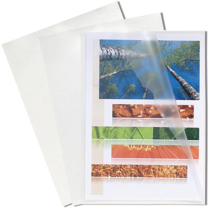 Produktbild Exacompta Sichthülle (A4, 100x)