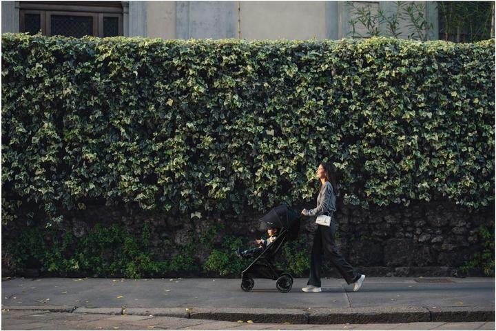 Actual product image Nuna Trvl lx (6 Months - 4 years)