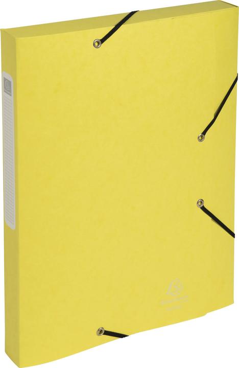 Actual product image Exacompta Archive boxes (A4, 25 mm)