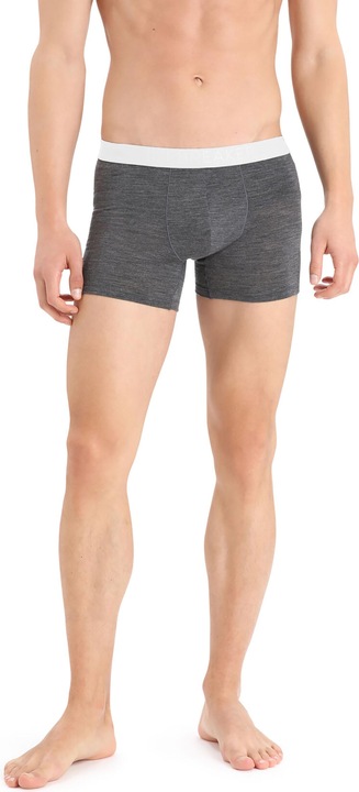 Produktbild Icebreaker Anatomica Cool-Lite (M)