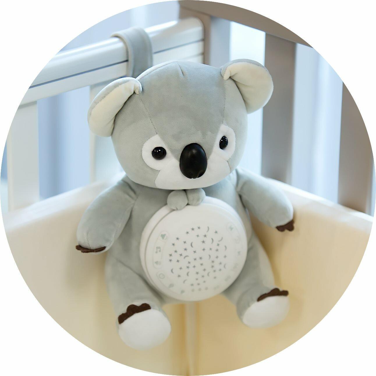 Thumbnail - Chipolino Musik Plüschtier Koala Timer (22 cm)