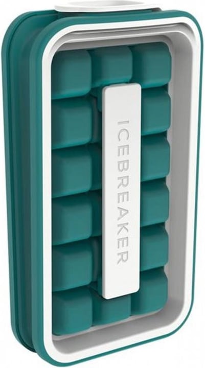Actual product image Icebreaker Nordic: Pop