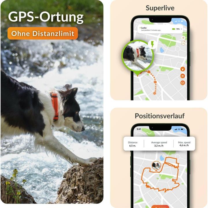 Produktbild Weenect GPS-Tracker (One Size, Hund)