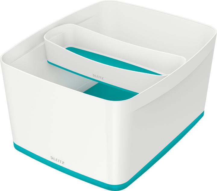 Immagine prodotto Leitz MYBOX - Scatola di stoccaggio (31.80 cm, 18 l, 1x)