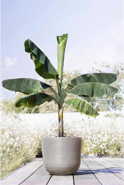 Actual product image Ecopots Oslo (45.50 cm)
