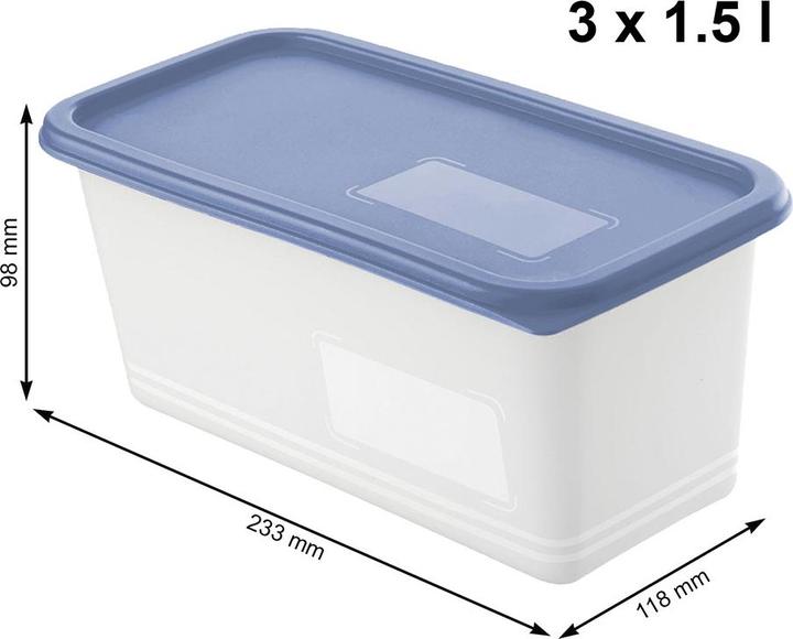 Actual product image Rotho Domino (1.50 l)