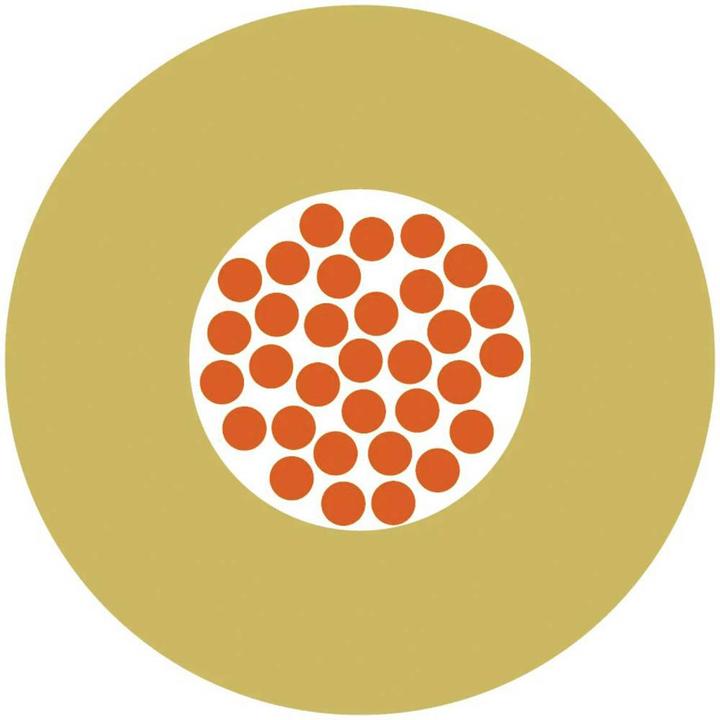 Productafbeelding Lapp Einzelader (250 m)