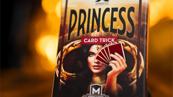 Actual product image Apprentice Princess Card