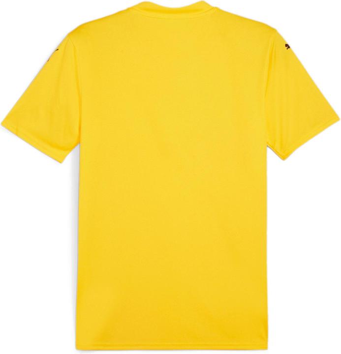 Produktbild Puma TeamGlory (M)