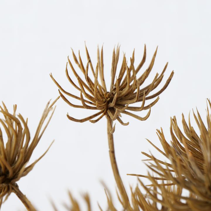 Actual product image Boltze Home Dekozweig