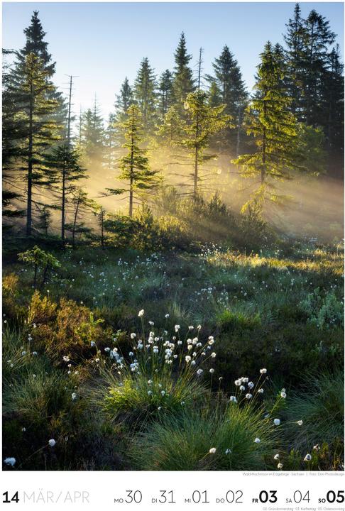 Actual product image Natur - Wochenkalender 2026
