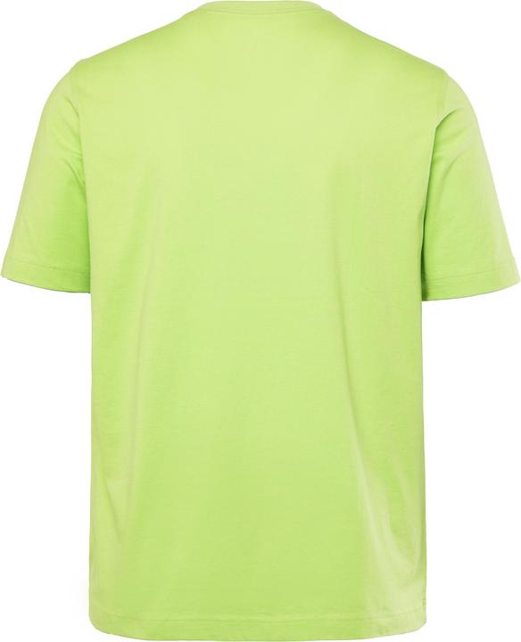 Actual product image JP1880 T-Shirt, Basic, Round neck, combed cotton, up to 8XL (8XL)