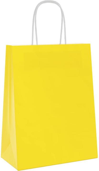 Produktbild vidaXL Papiertragetasche (250x)