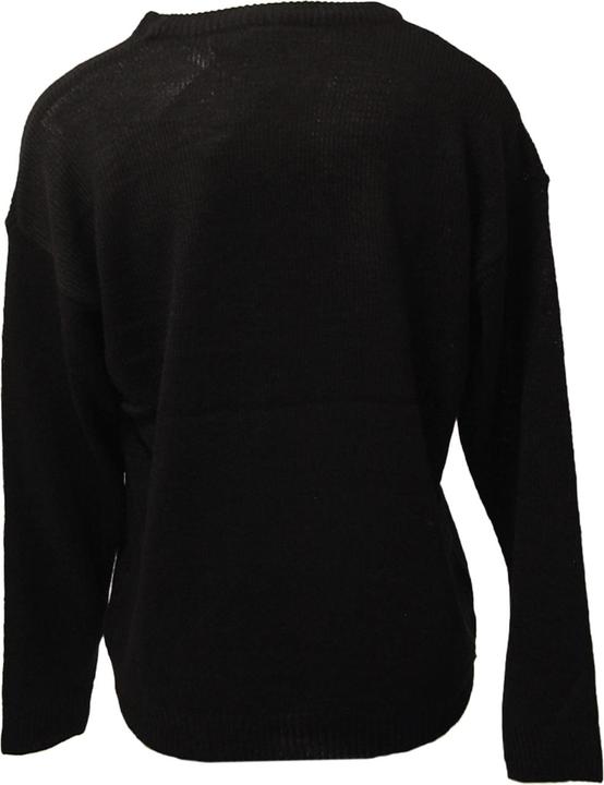 Actual product image Brave Soul Womens Have A Merry Christmas Dog Jumper (XS)