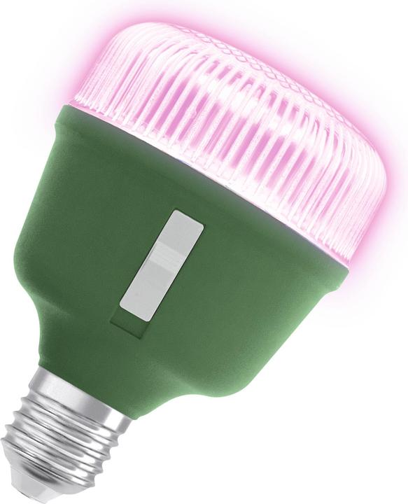 Actual product image Osram Homelighting (LED, 220 V)