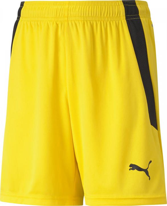 Actual product image Puma teamLIGA Shorts Jr-704931 (128)