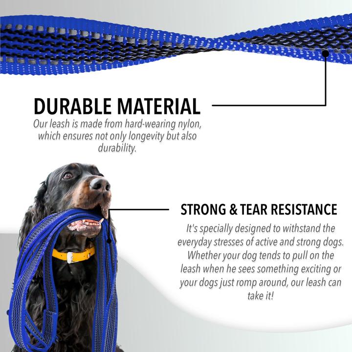 Produktbild Bluzelle 3m Hundeleine, Doppelleine Führleine mit Karabiner, Verstellbar (Hund, Spazieren)