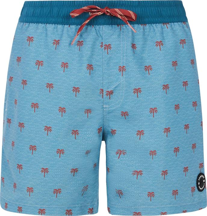 Image du produit Protest Herren PRTParco Strandshorts blau (M)