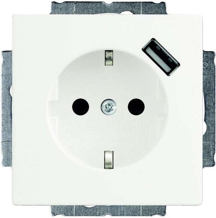 Productafbeelding Busch-Jaeger 20EUCBUSB-84 USB-stopcontact