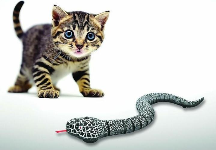 Produktbild Lexibook Wireless RC Amphibious Snake (SNAKE01)