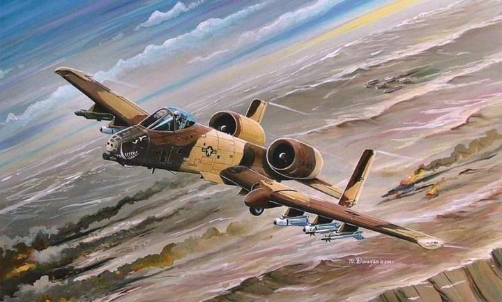 Actual product image Hobby Boss A-10A Thunderbolt II