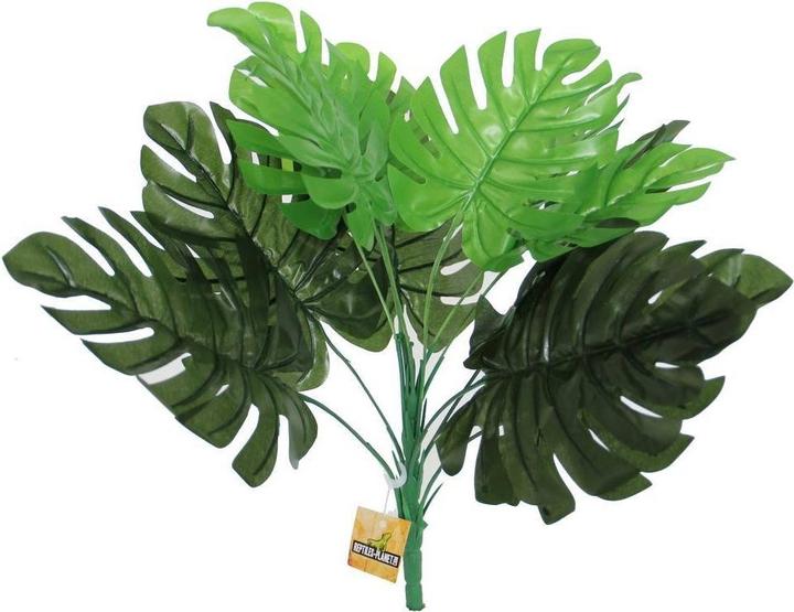 Reptiles-Planet Philodendron (Dekoration, Pflanzen)